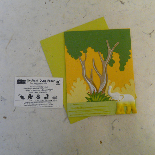 Yellow Elephant Dung Paper Eco Maximus Card
