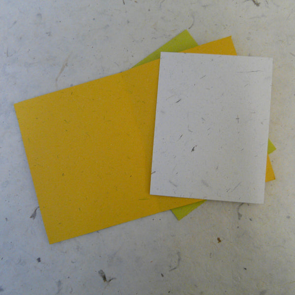 Yellow Elephant Dung Paper Eco Maximus Card