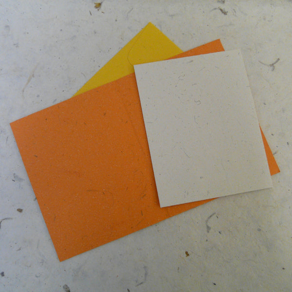 Orange Elephant Dung Paper Eco Maximus Card