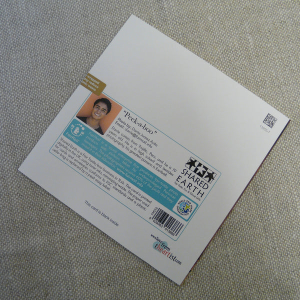 Peek-a-Boo - Fairmail Card - Birthday