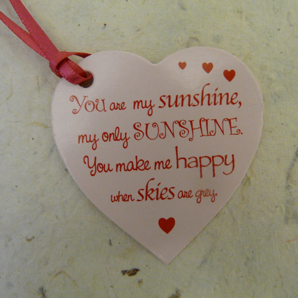 You are my Sunshine Glitter Quote Fairy