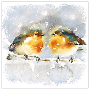 2 Robins Christmas Cards