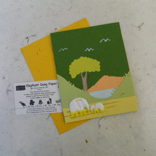 Selection of 5 Elephant Dung Paper Eco Maximus Cards