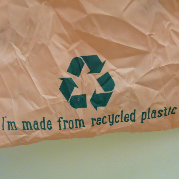 Panda Recycled Plastic Bottles Foldaway Bag