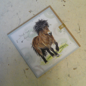 'Bad Hair Day' - Exmoor Pony Card